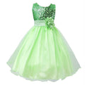BTN Baby Sequin Princess Dress – Flower Girl, Wedding & Party Dress in 10 Colors - Baby Time Now