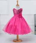 BTN Baby Sequin Princess Dress – Flower Girl, Wedding & Party Dress in 10 Colors - Baby Time Now