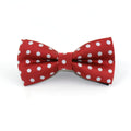 Fashionable Baby Bow Tie - Baby Time Now
