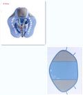 Baby Swimming Ring Floats - Baby Time Now